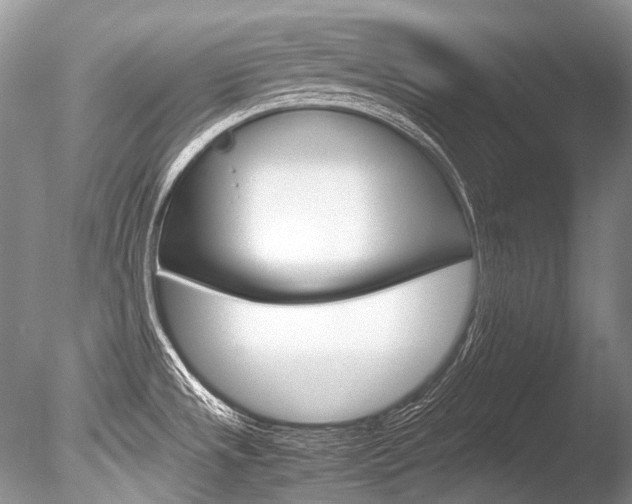 X0000086311533200703300943