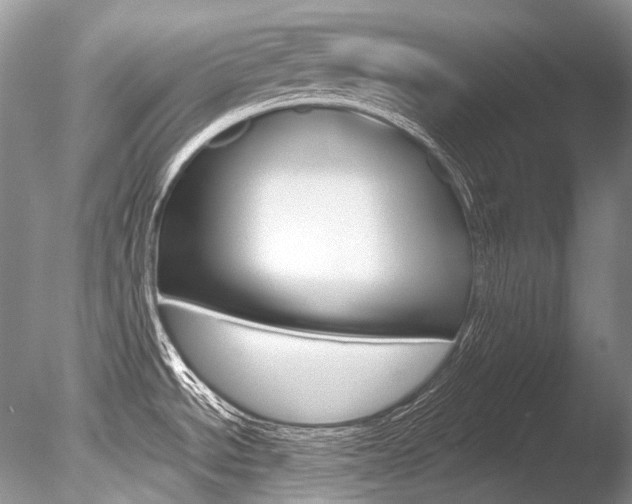 X0000086311534200703300943