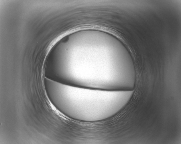 X0000086311535200703300943