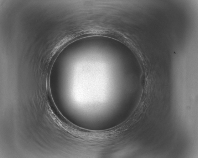 X0000086310011200703301203