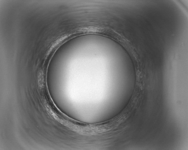 X0000086310012200703301203
