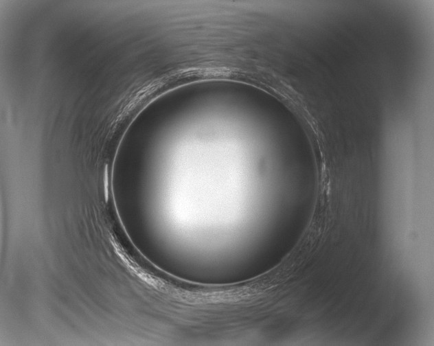 X0000086310013200703301203