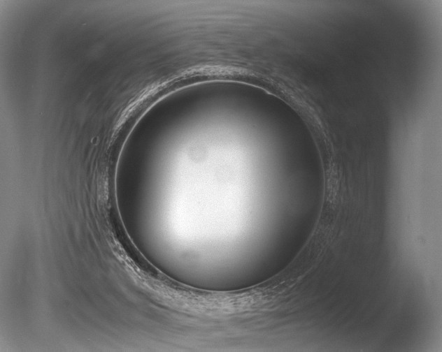 X0000086310015200703301203
