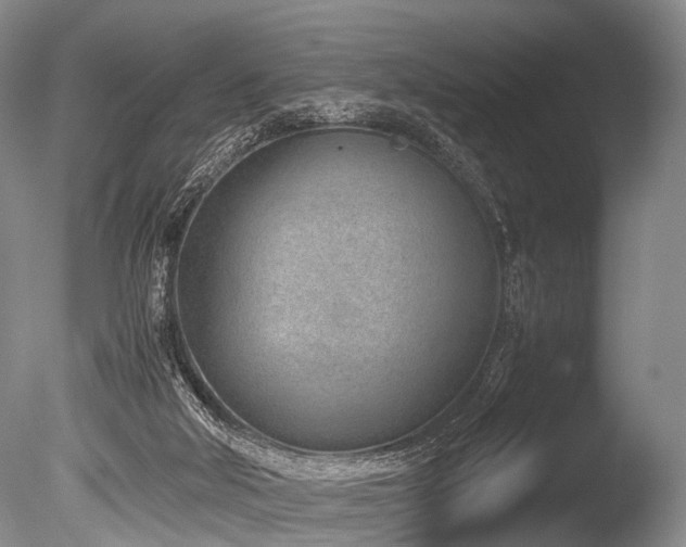 X0000086310018200703301203