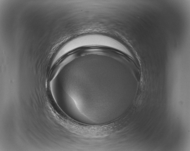 X0000086310019200703301203