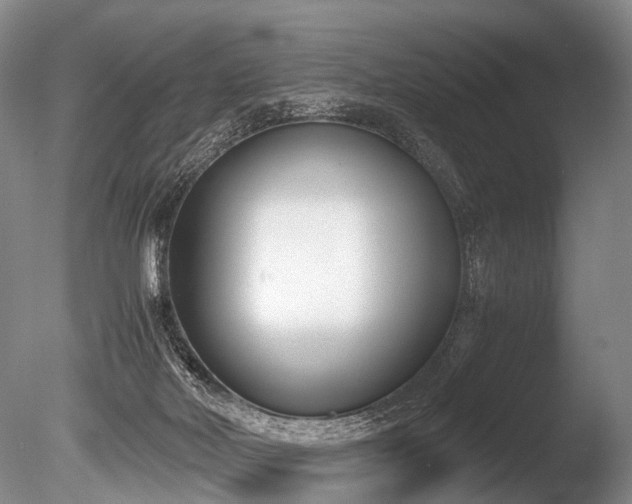 X0000086310026200703301203