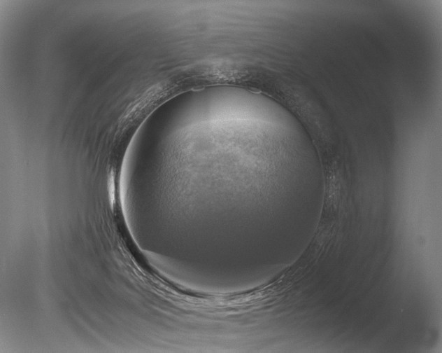X0000086310027200703301203