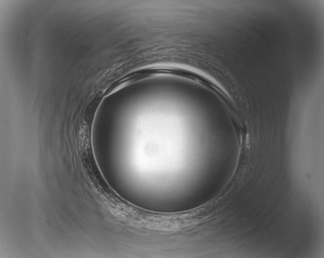 X0000086310029200703301203