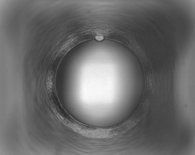 X0000086310032200703301203