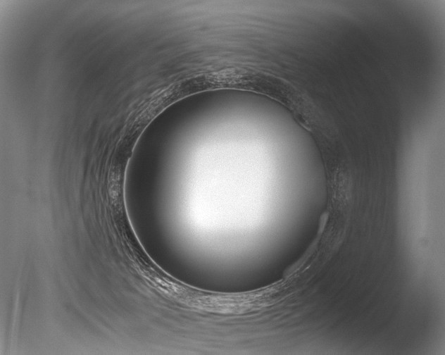 X0000086310033200703301203