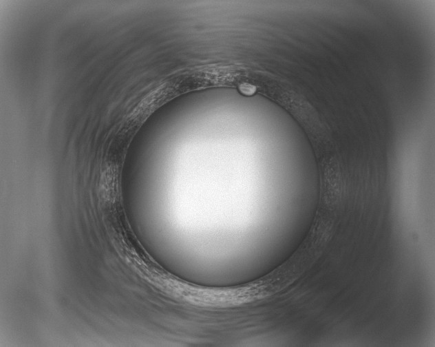 X0000086310034200703301203