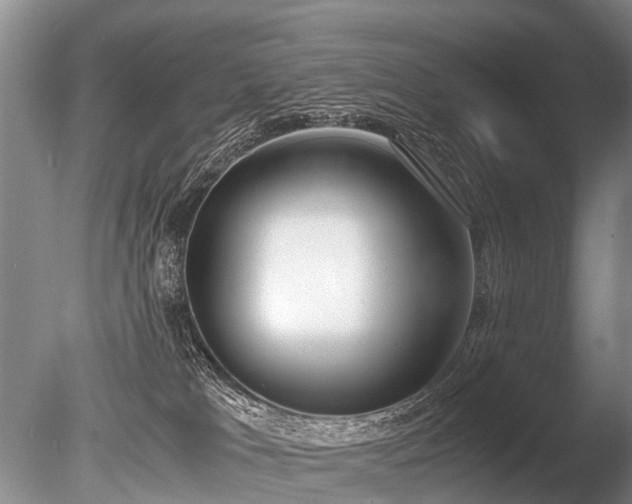 X0000086310037200703301203