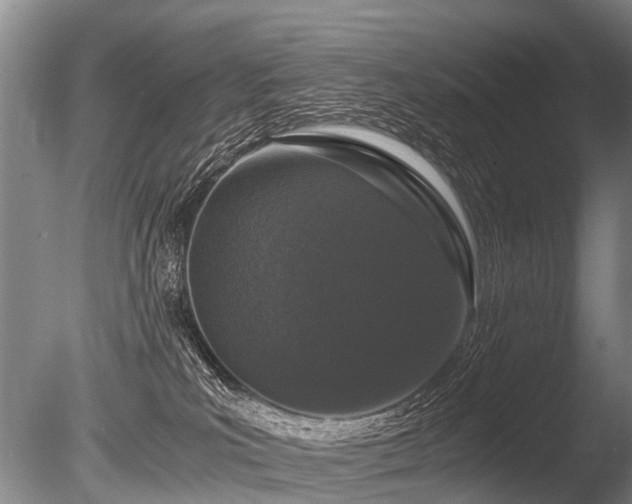 X0000086310039200703301203