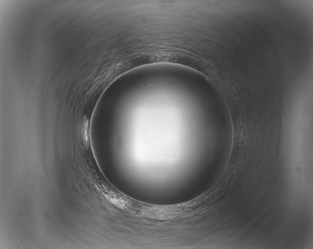 X0000086310041200703301203