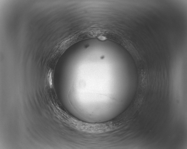 X0000086310042200703301203