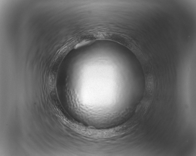 X0000086310043200703301202