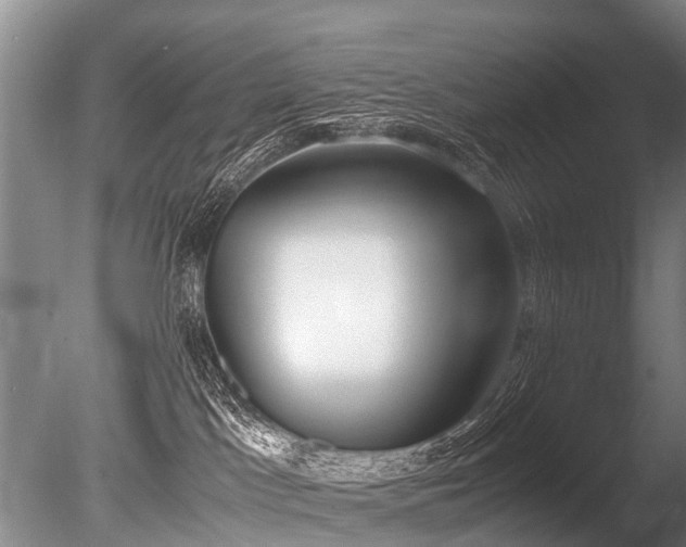 X0000086310045200703301202