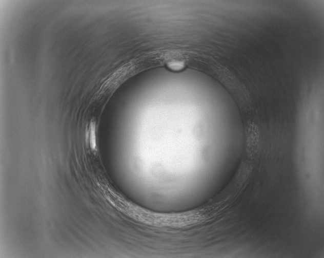 X0000086310046200703301202