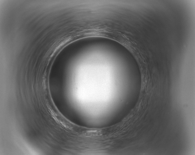 X0000086310050200703301202