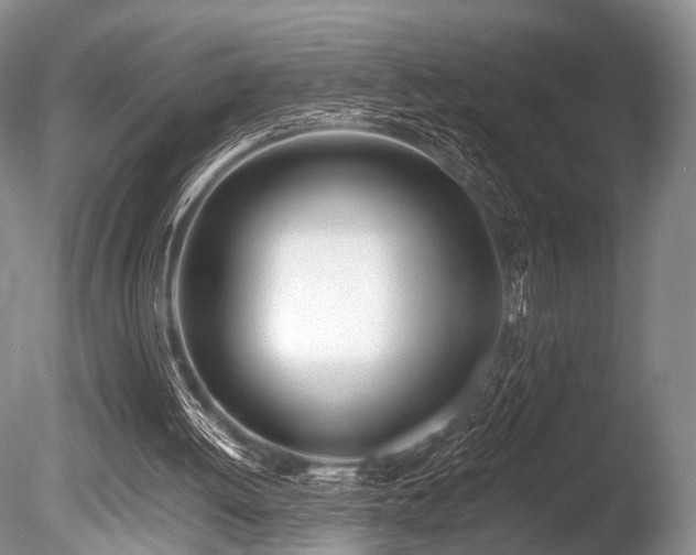 X0000086310052200703301202