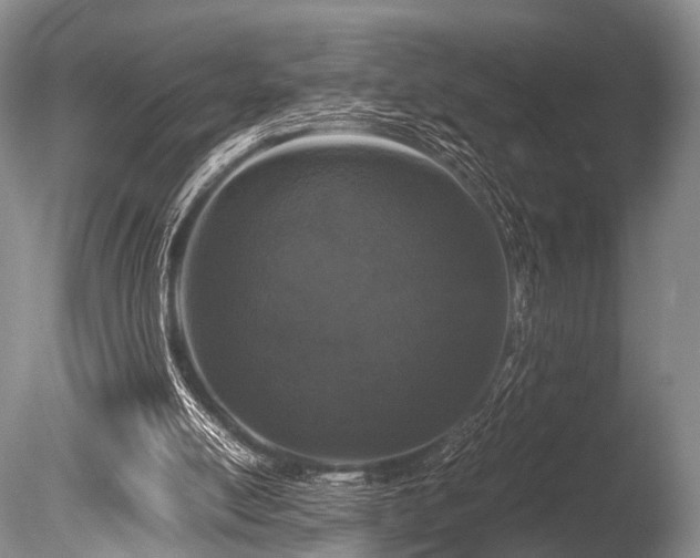 X0000086310054200703301202