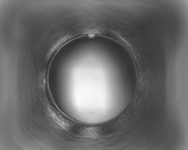 X0000086310059200703301202