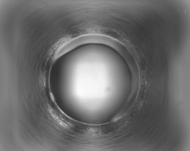 X0000086310060200703301202