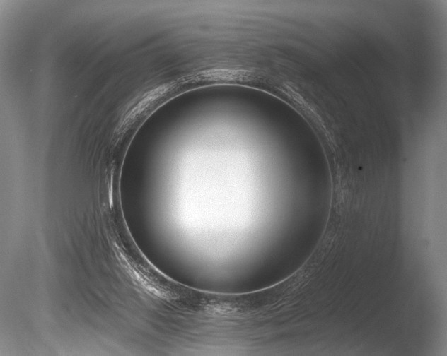 X0000086310062200703301202