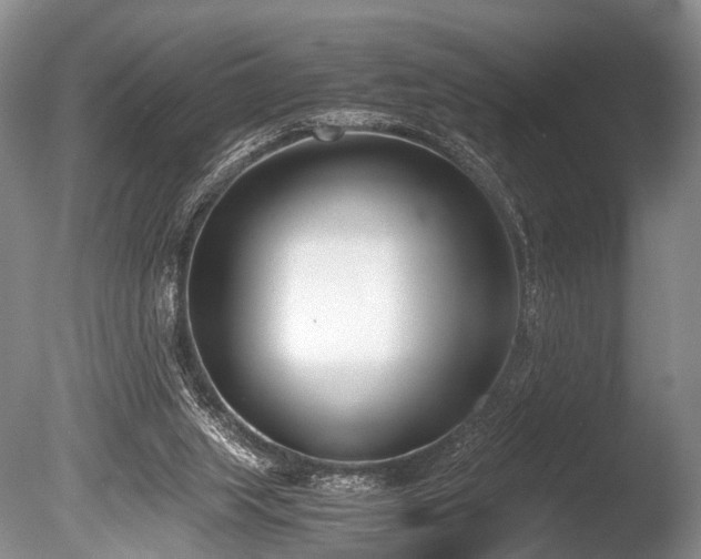 X0000086310063200703301202