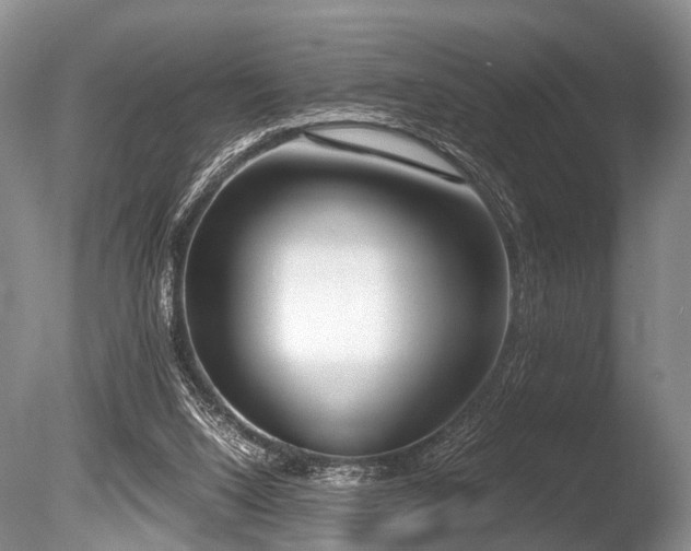 X0000086310064200703301202