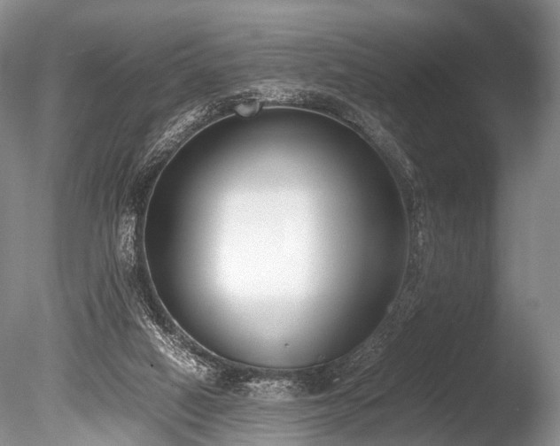 X0000086310066200703301202