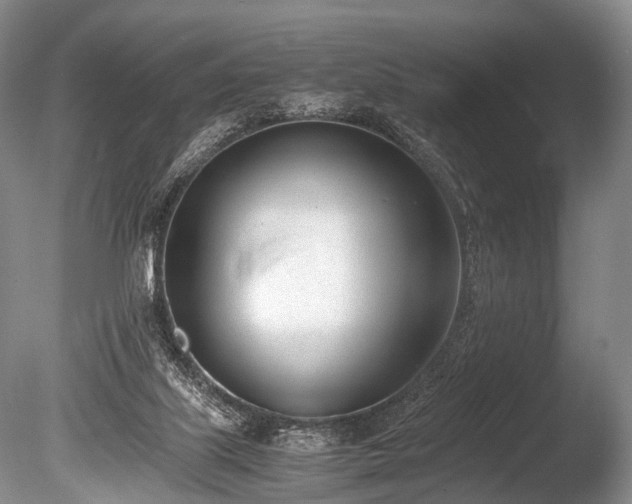 X0000086310067200703301202