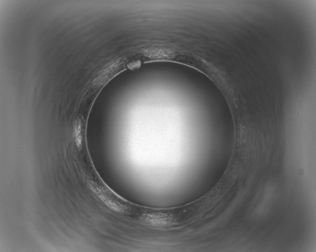 X0000086310069200703301202
