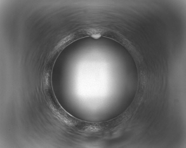 X0000086310071200703301202