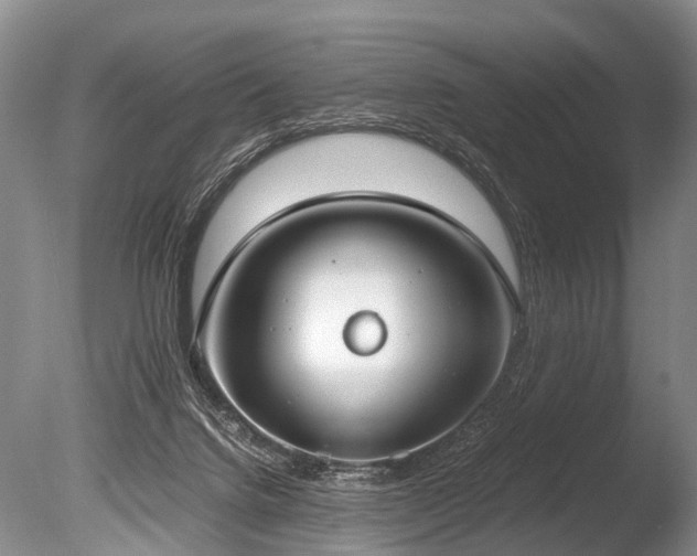 X0000086310072200703301202