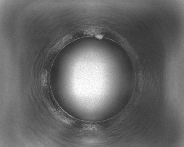 X0000086310073200703301202