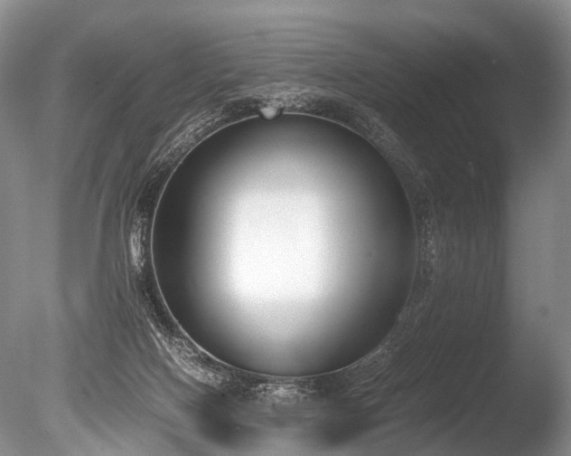 X0000086310074200703301202