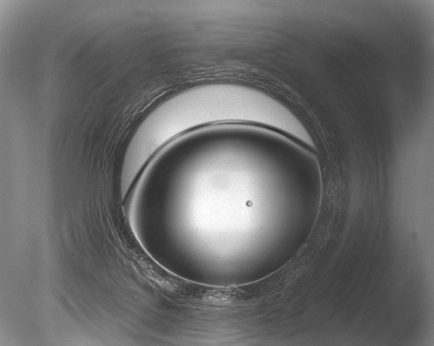 X0000086310076200703301202