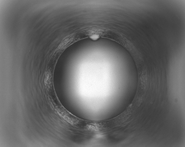 X0000086310079200703301202