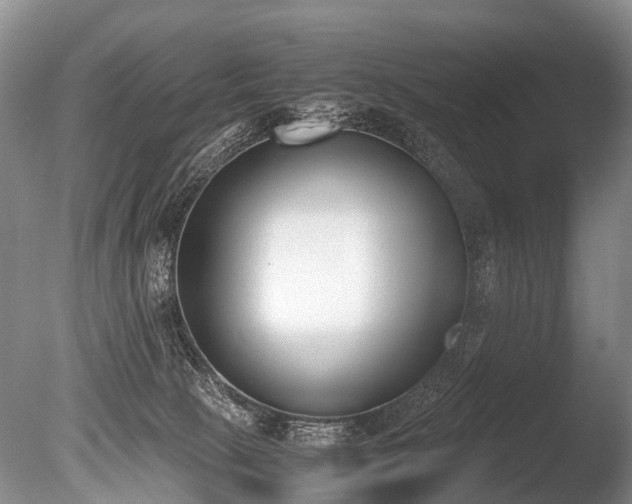 X0000086310081200703301202