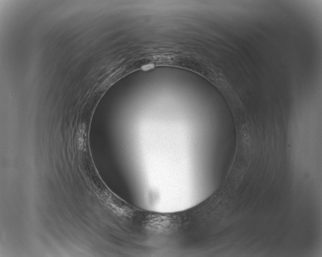 X0000086310083200703301202