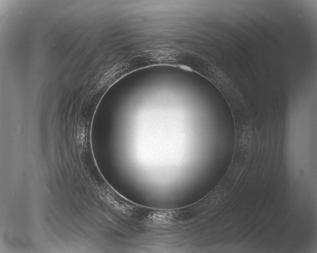 X0000086310084200703301202