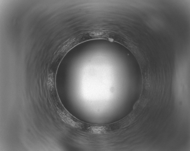 X0000086310085200703301202