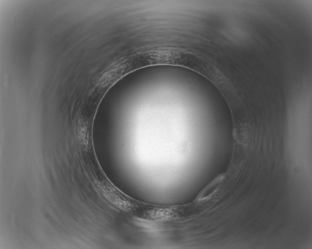 X0000086310086200703301202
