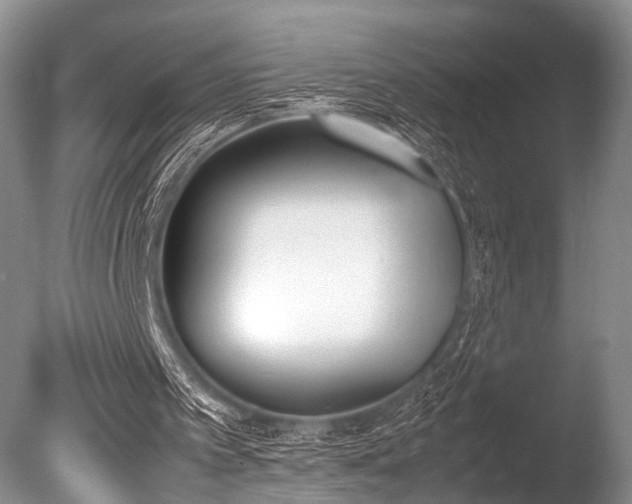 X0000086310097200703301201