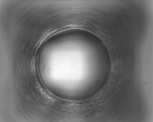 X0000086310098200703301201