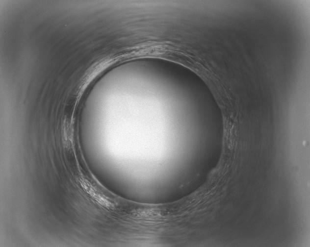 X0000086310100200703301201
