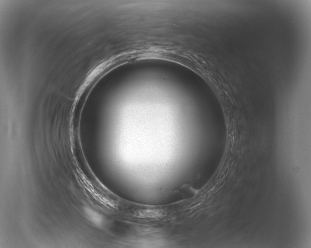 X0000086310102200703301201