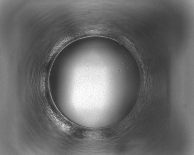 X0000086310106200703301201