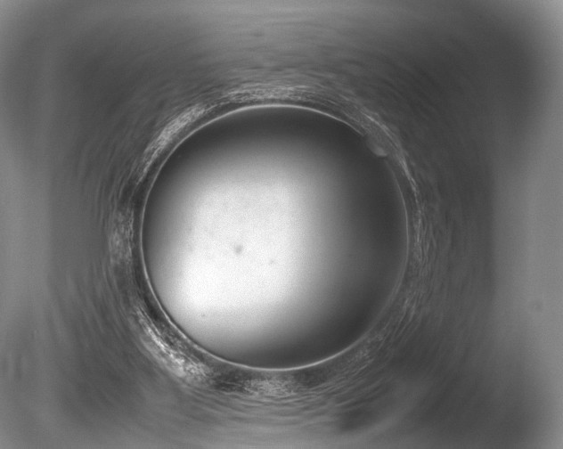 X0000086310107200703301201